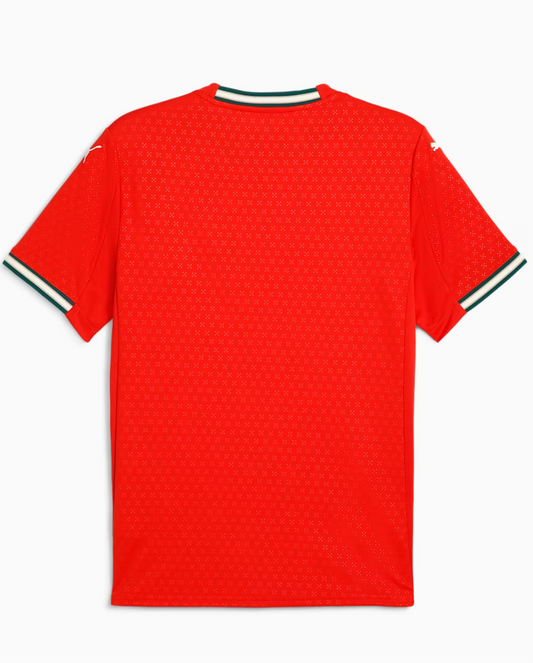 Portugal Home jersey 25