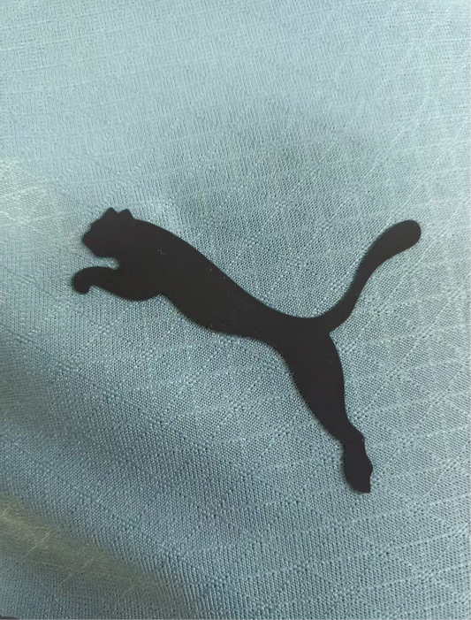 Manchester City home jersey 25/25